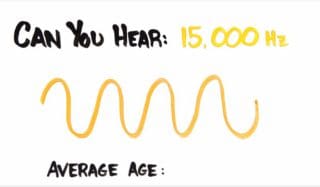 Und wie alt sind deine Ohren?