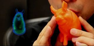 Blasinstrumente aus dem 3D-Drucker – eine mögliche Alternative?