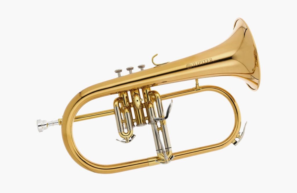 Flügelhörner für Anfänger 2024 Musikmachen