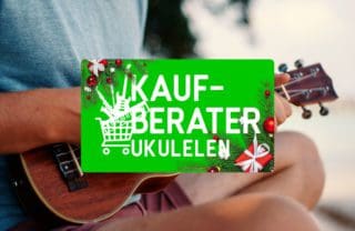 Top 5 der Ukulelen für Einsteiger 2023/2024 – handmade Music zwischen Tradition und Spaßfaktor