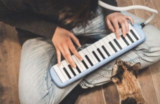 Melodica kaufen – Facts und Infos