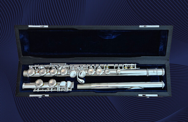 Thomann FL-200 Querflöte: Für einen guten Start