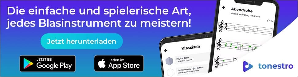 Tonarten bestimmen und erkennen › Musikmachen