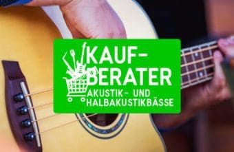 Top 5 der Akustik- und Halbakustikbässe für Einsteiger 2023 – mit filigraner Natürlichkeit