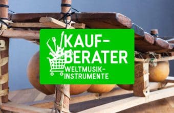 Top 5 der Weltmusik-Instrumente für Einsteiger 2023 – mal was anderes