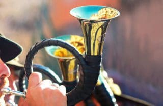 Fürst-Pless-Horn kaufen – ein paar Entscheidungshilfen